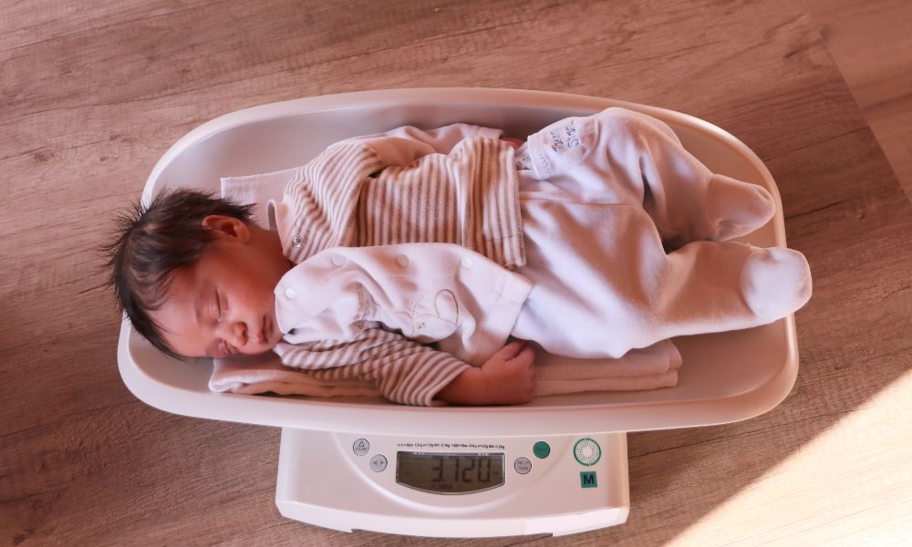 The 7 Best Baby Scales