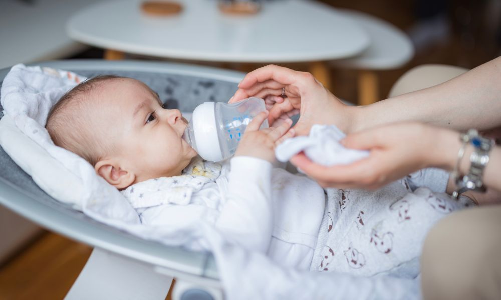 5 Best Baby Bouncers