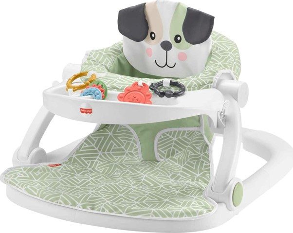 Fisher-Price Puppy Perfection Baby Floor Chair