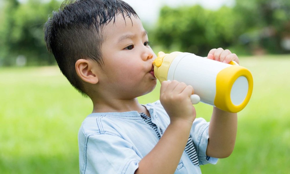 B.Box Drink Bottle