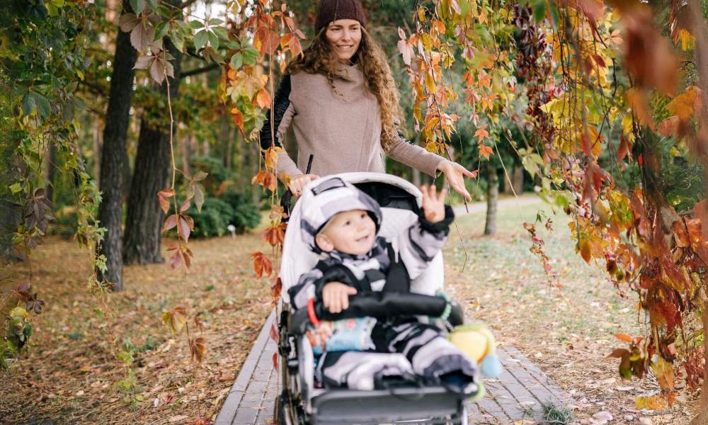 Bugaboo Dragonfly