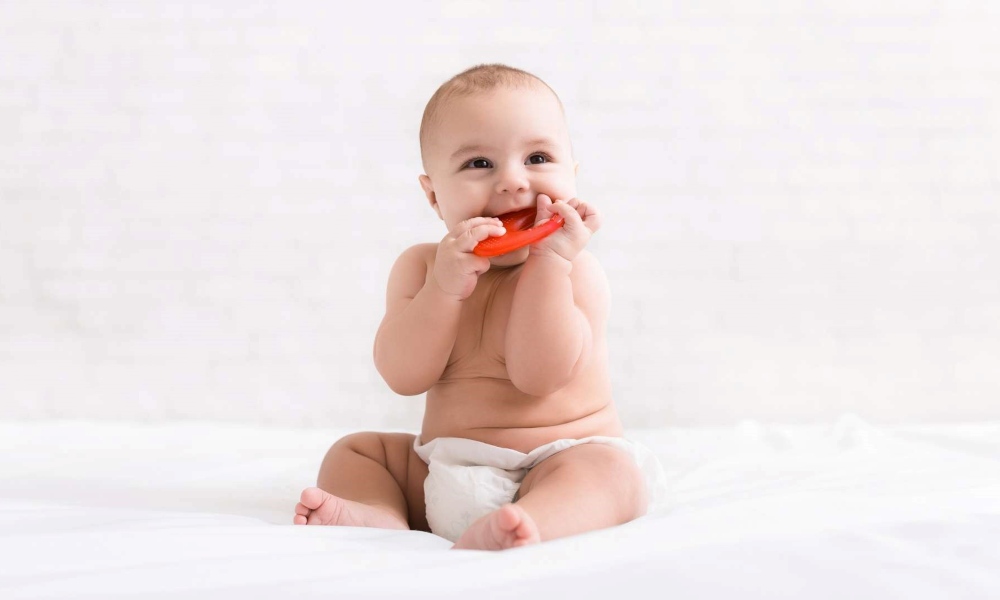 Haakaa Teether