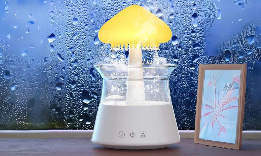 Rain Cloud Humidifier