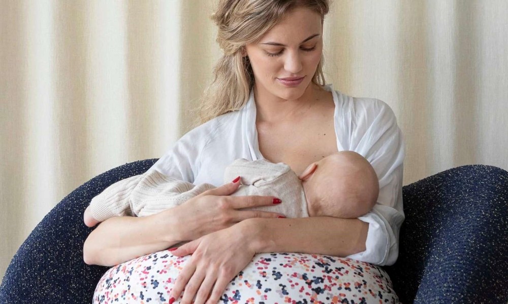 bbhugme Nursing Pillow