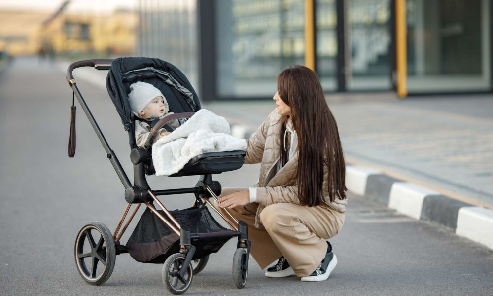 UPPAbaby Vista