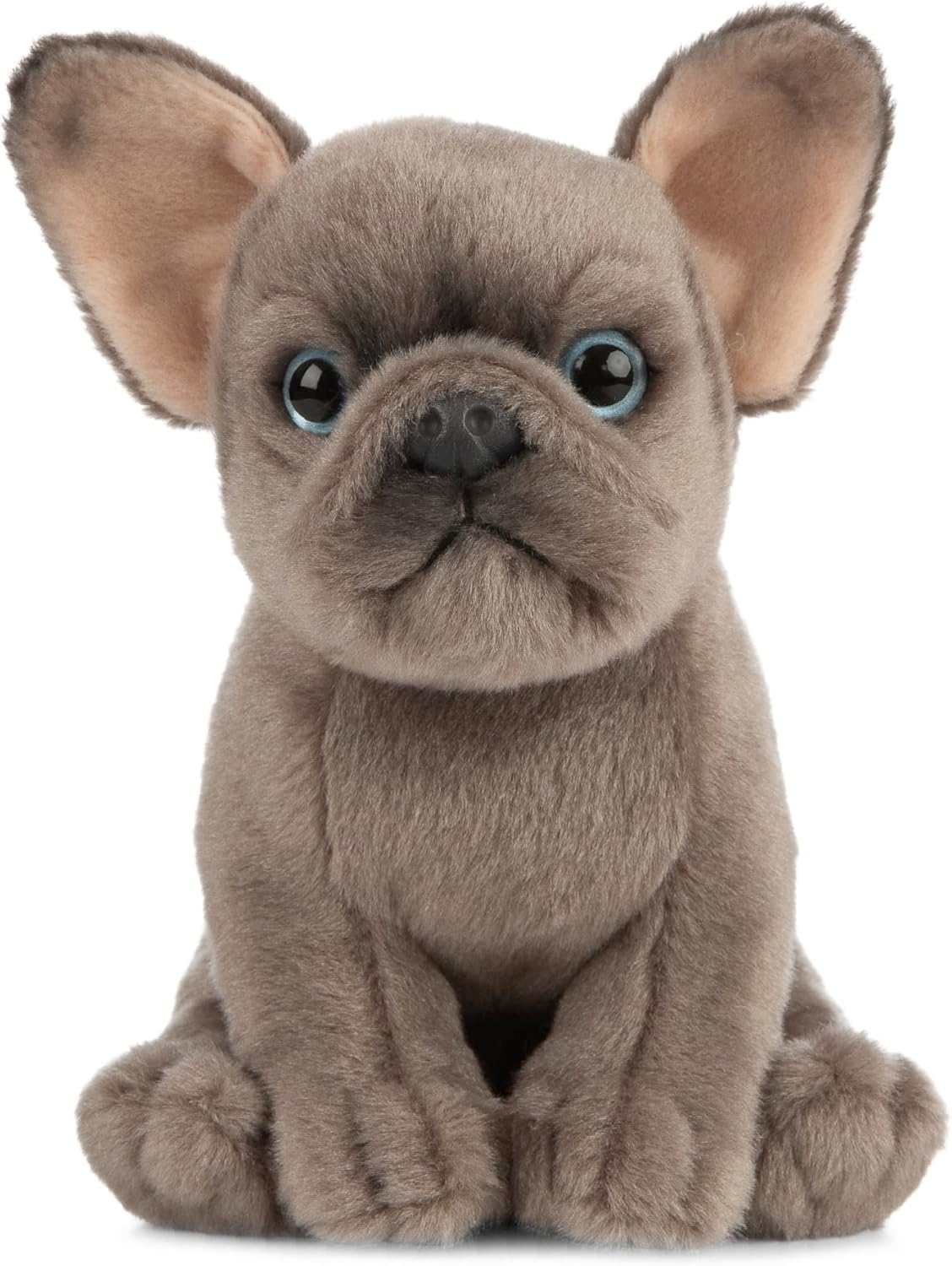 Living Nature French Bulldog Puppy