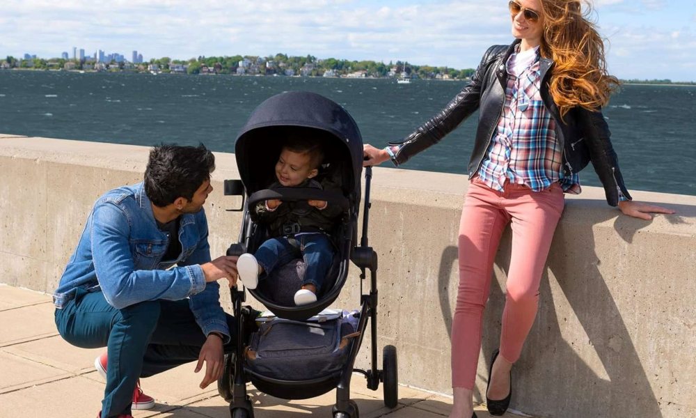 Monbebe Lynx Modular Travel System