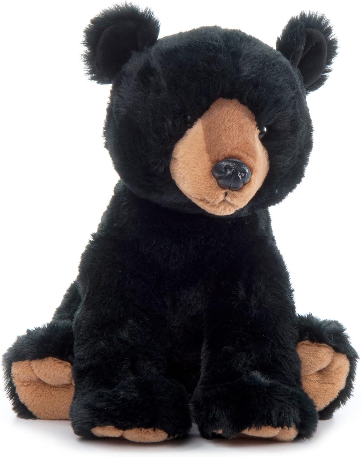 The Petting Zoo Black Bear