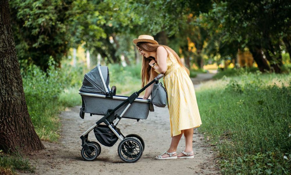 Bugaboo Organizer