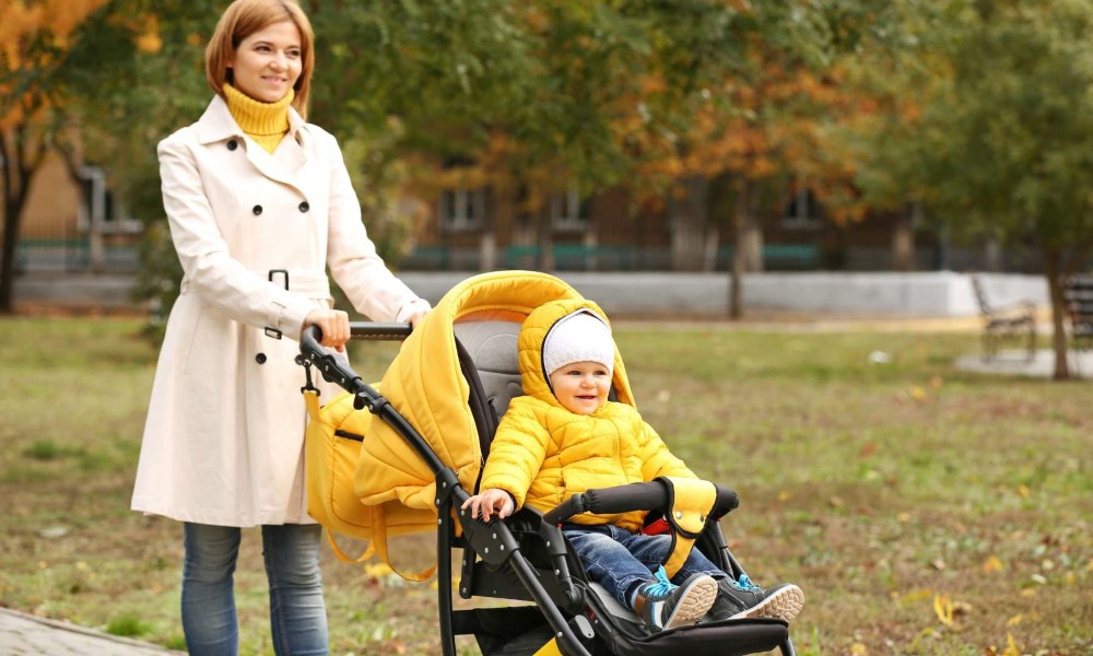 UPPAbaby G Link