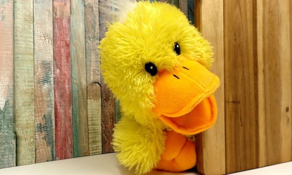 duck toy | 5 best options for 2024