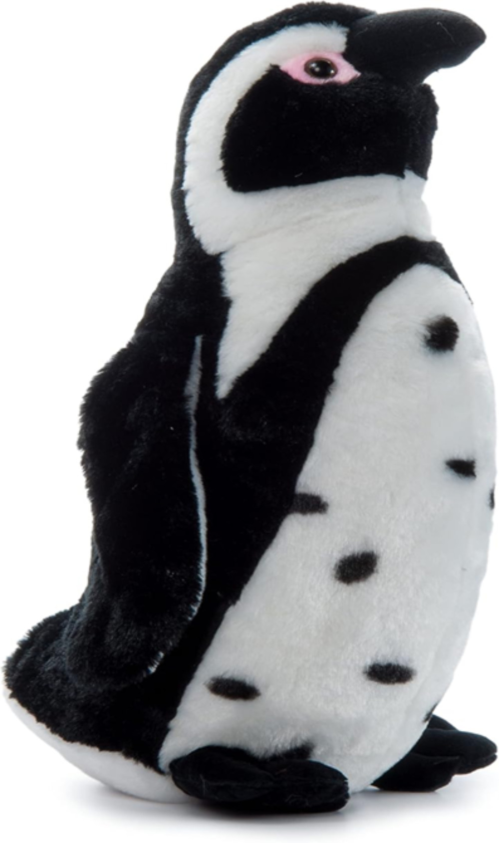 the petting zoo penguin