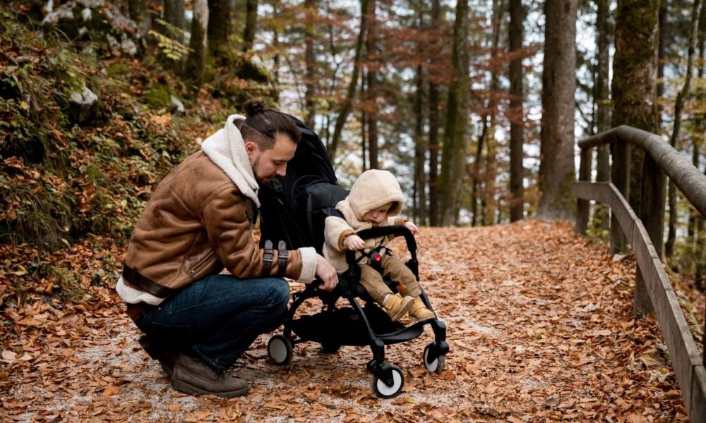 Key Comparisons Between Agio Z4 and UPPAbaby Vista V2