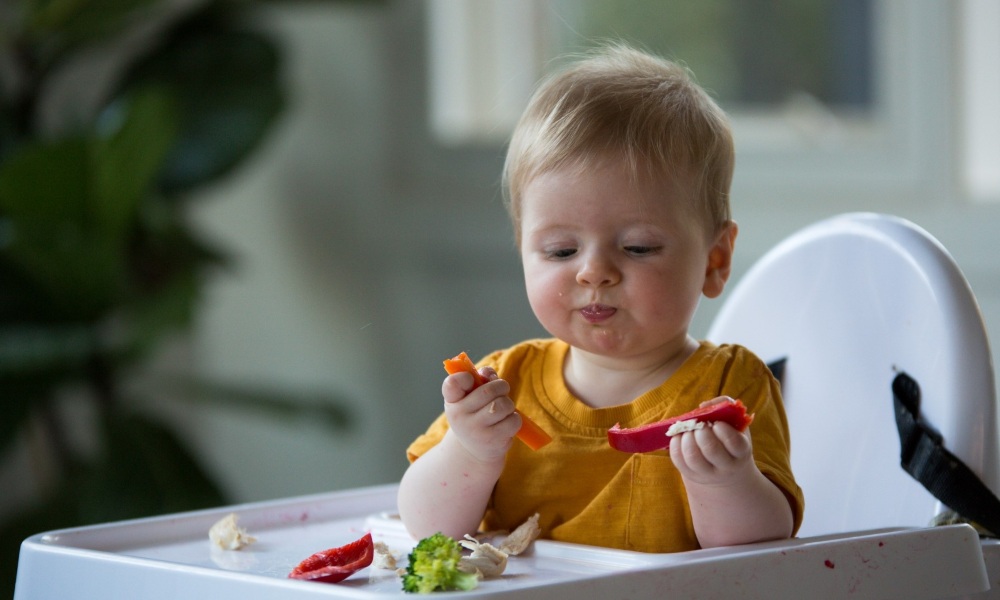 Month-by-Month Guide to Introducing Solid Foods