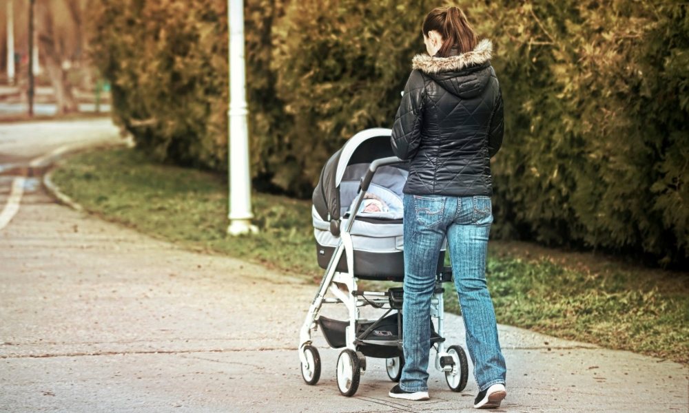 Nuna vs UPPAbaby