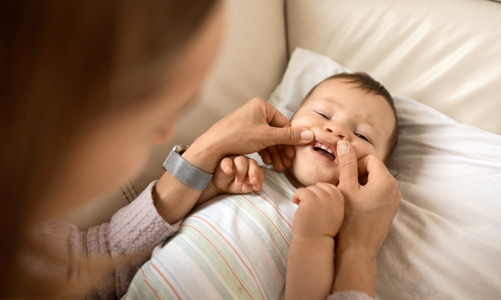 The Teething Timeline