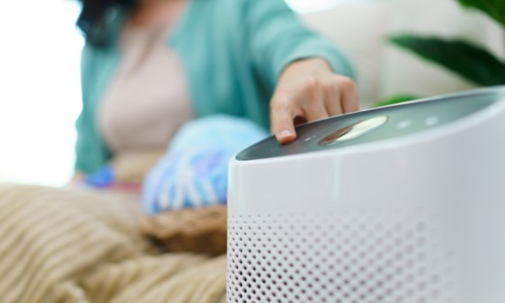 air purifier vs humidifier | differences & benefits 2025