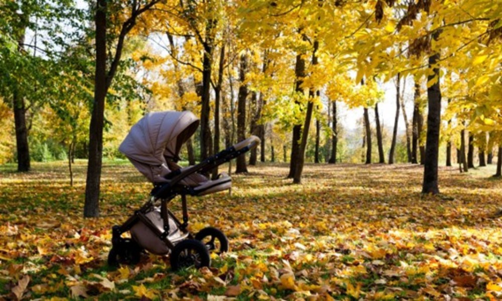 understanding the basics: pushchair vs stroller